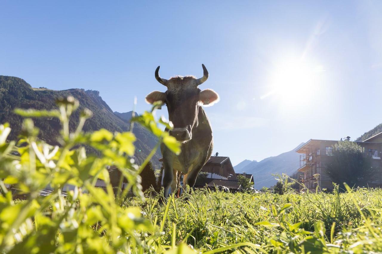 Hieserhof Neustift im Stubaital Extérieur photo
